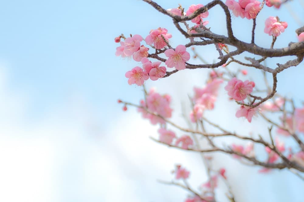 adobestock_294086666.jpg
